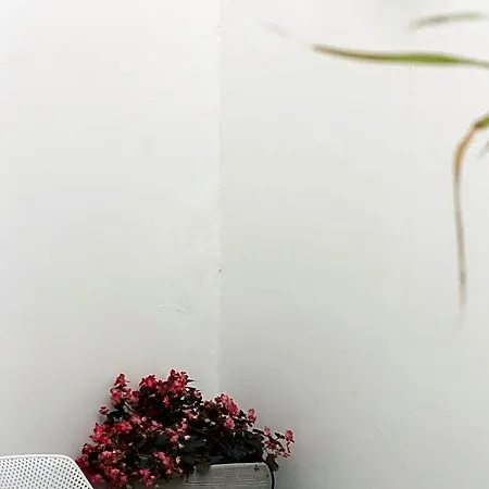 Panzió A Casa Di Nonna Rosa